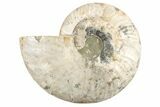 Cut & Polished Ammonite Fossil (Half) - Madagascar #191563-1